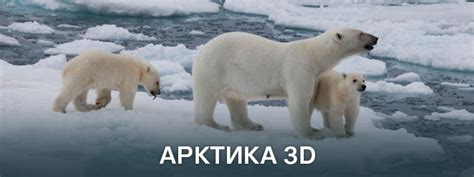 Арктика 3D
 2024.04.27 17:25